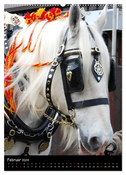 Shire Horse - Decorated Giants (CALVENDO Premium Wall Calendar 2024) 