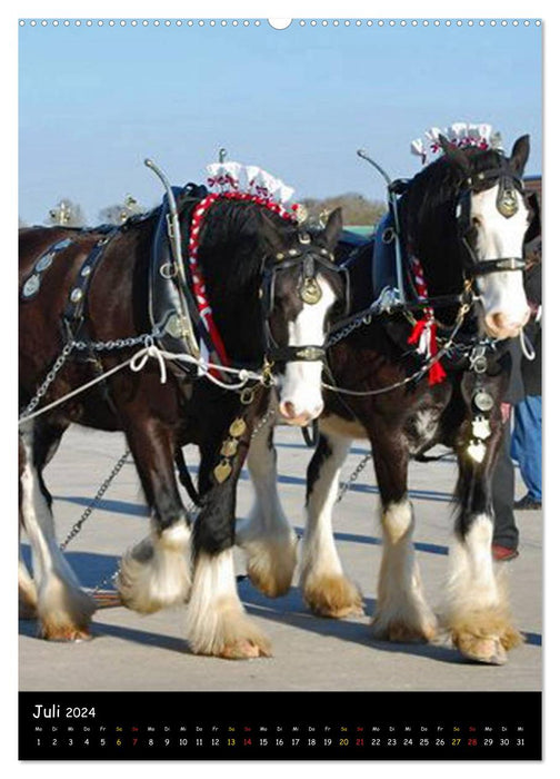 Shire Horse – Géants décorés (Calvendo Premium Wall Calendar 2024) 