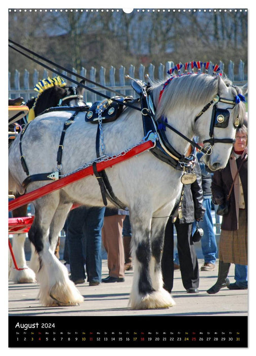 Shire Horse – Géants décorés (Calvendo Premium Wall Calendar 2024) 