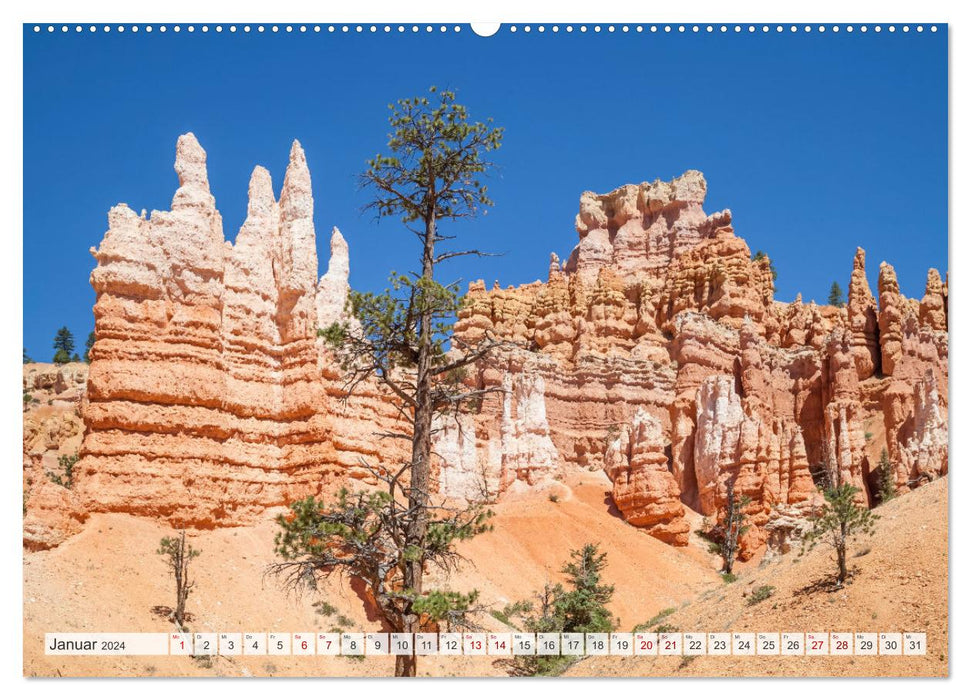 FASZINATION USA Geniale Landschaften (CALVENDO Premium Wandkalender 2024)