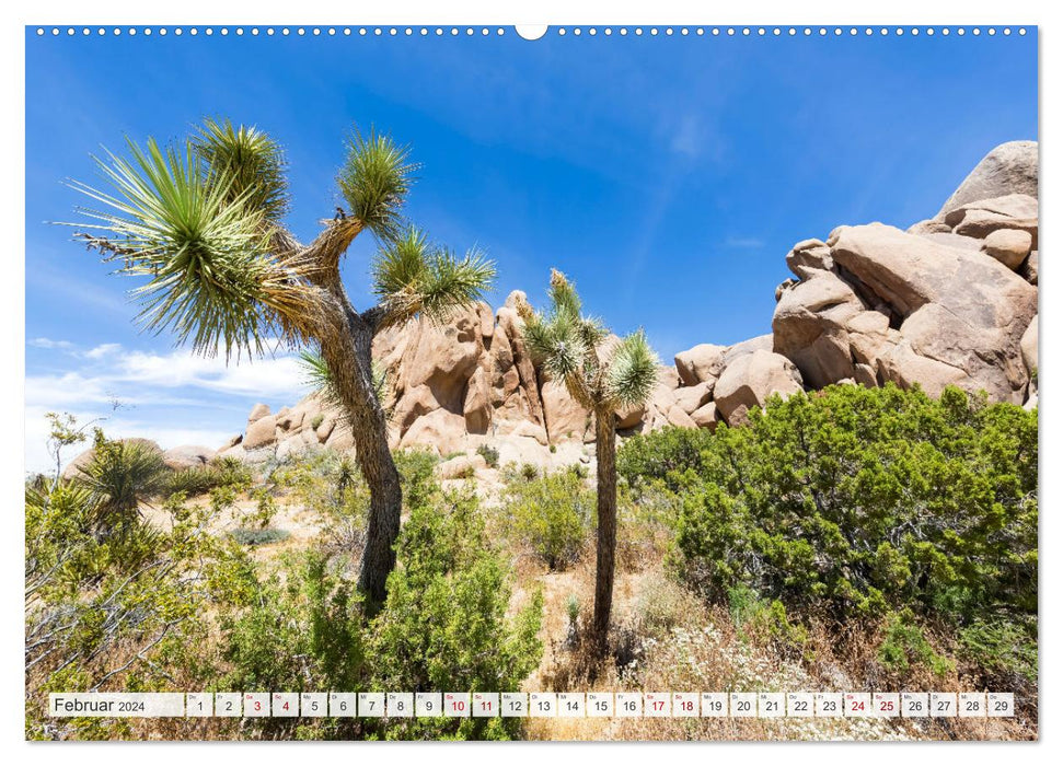 FASZINATION USA Geniale Landschaften (CALVENDO Premium Wandkalender 2024)