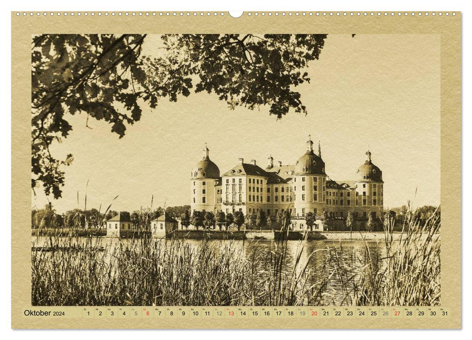 Saxony - A calendar in newspaper style / CH version (CALVENDO Premium Wall Calendar 2024) 