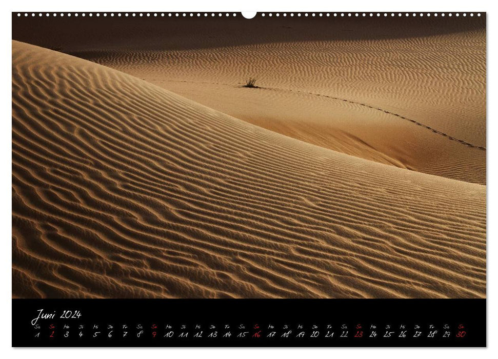 La fascination du désert (Calendrier mural CALVENDO Premium 2024) 