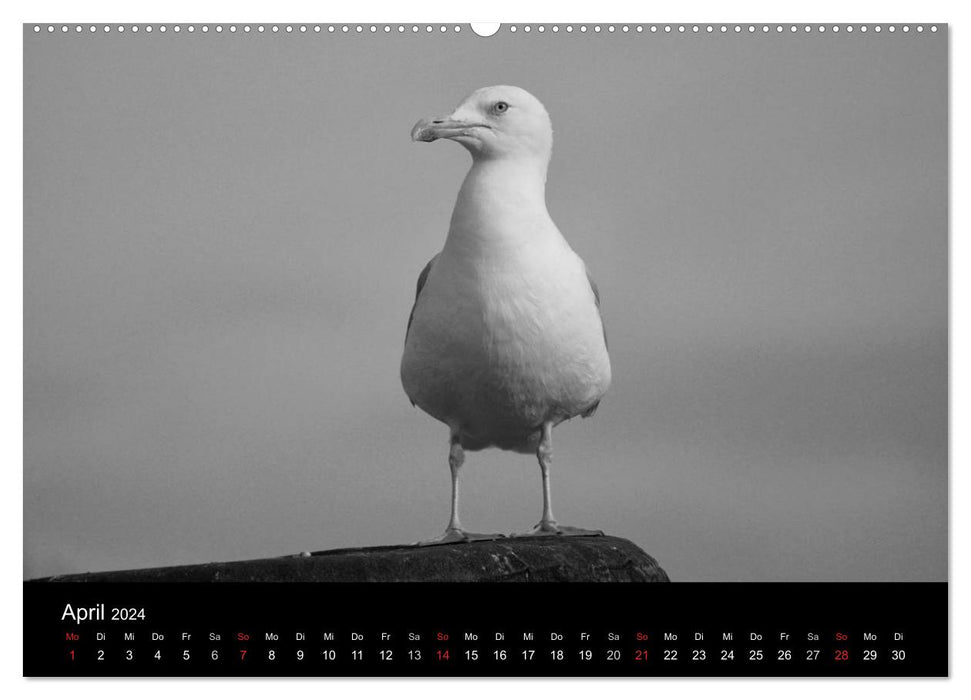 Bienvenue à Cuxhaven (Calendrier mural CALVENDO Premium 2024) 