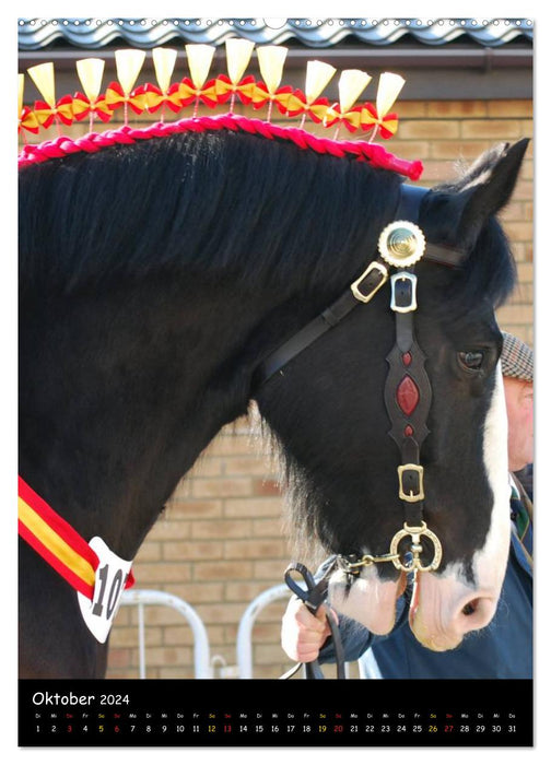 Shire Horse – Géants décorés (Calendrier mural CALVENDO 2024) 