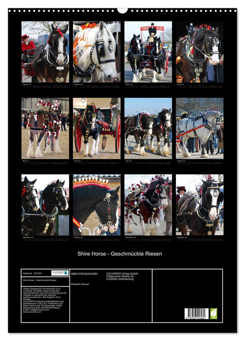 Shire Horse - Decorated Giants (CALVENDO Wall Calendar 2024) 