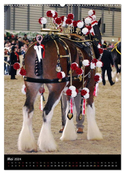 Shire Horse - Decorated Giants (CALVENDO Wall Calendar 2024) 