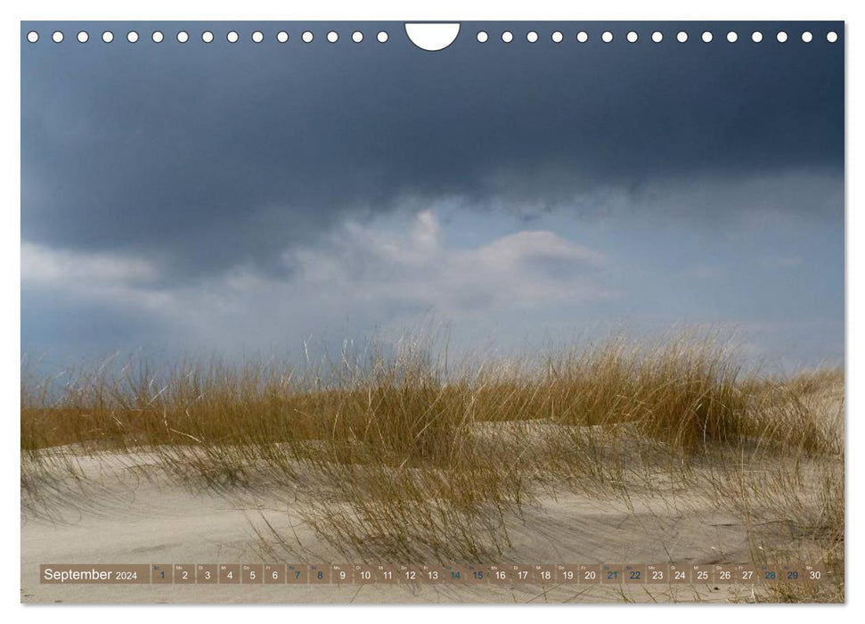 Beach hikes on Texel (CALVENDO wall calendar 2024) 