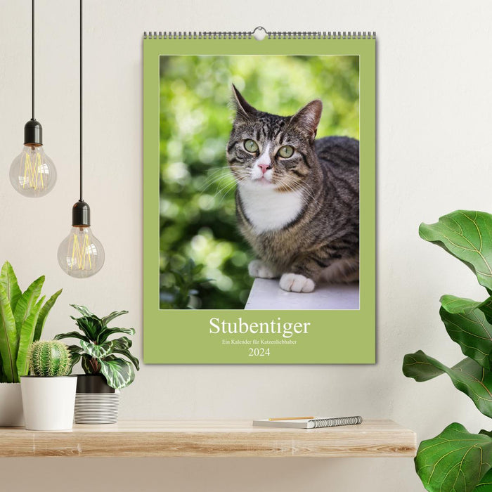 Stubentiger (CALVENDO Wandkalender 2024)