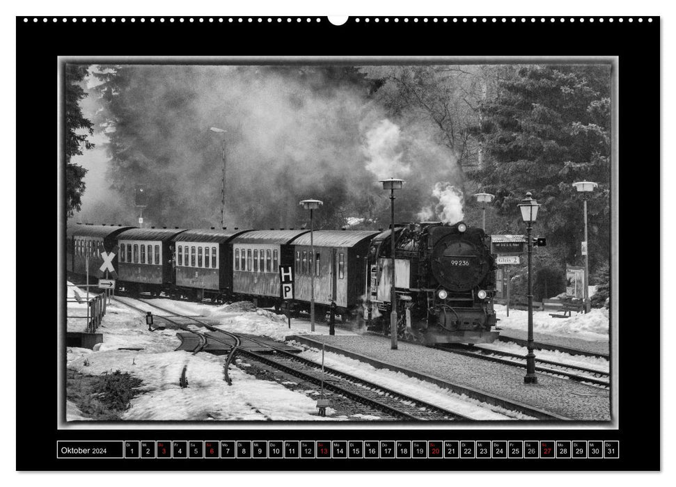 Unter Dampf - Eisenbahnromantik im Harz (CALVENDO Premium Wandkalender 2024)