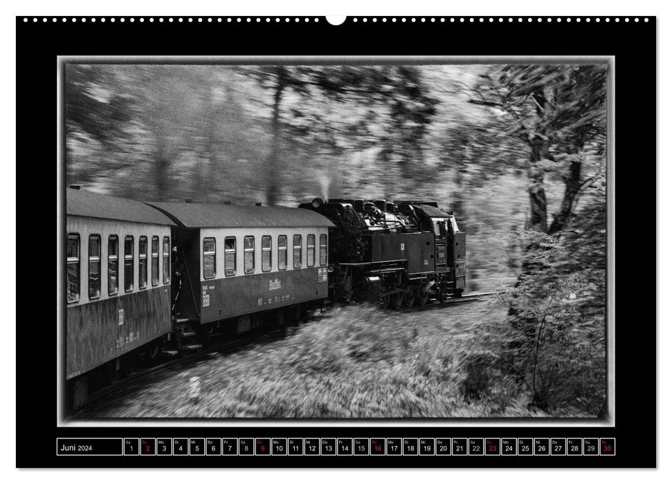 Unter Dampf - Eisenbahnromantik im Harz (CALVENDO Premium Wandkalender 2024)