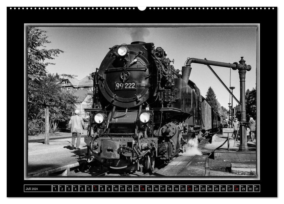 Under steam - railway romance in the Harz (CALVENDO Premium Wall Calendar 2024) 