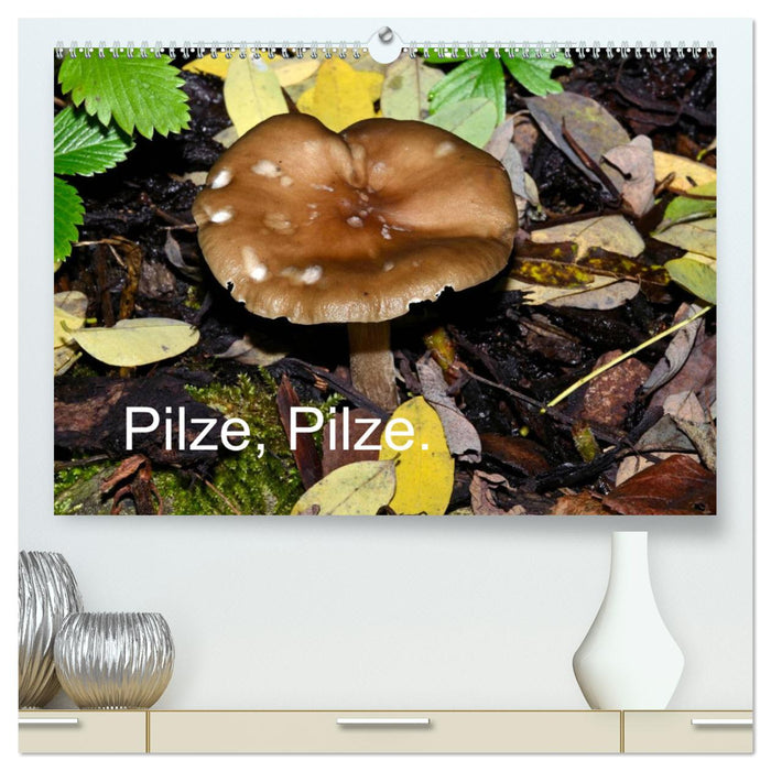 Pilze, Pilze (CALVENDO Premium Wandkalender 2024)