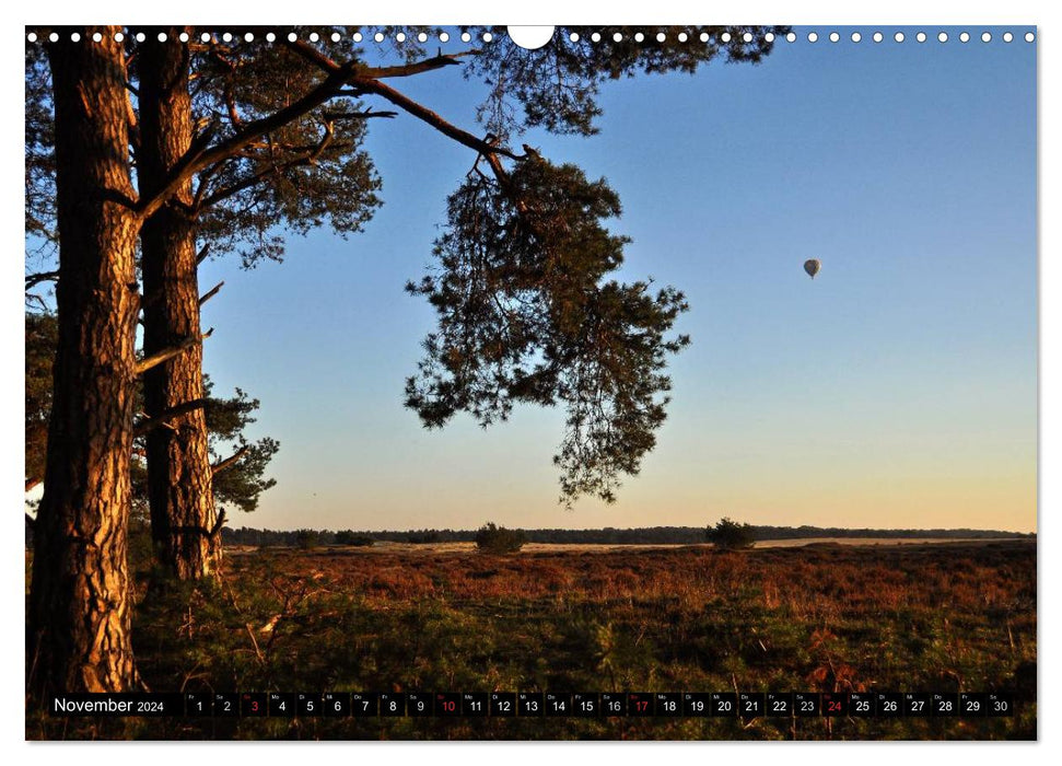 Ballons - fascination dans l'air (calendrier mural CALVENDO 2024) 