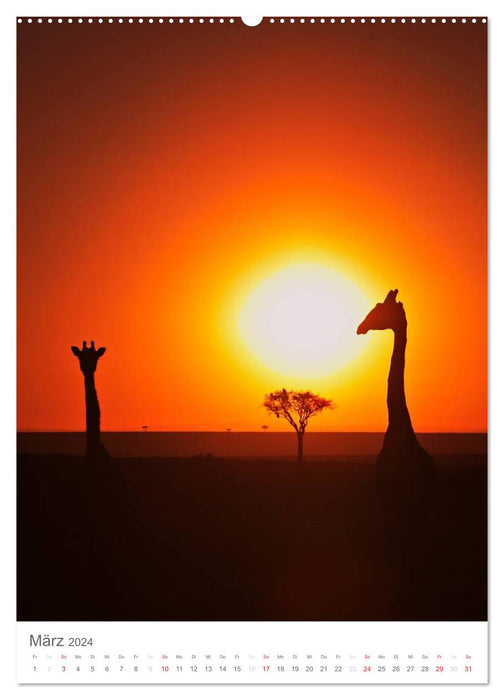 Magic of the moment - giraffes - giants of the savannah (CALVENDO wall calendar 2024) 