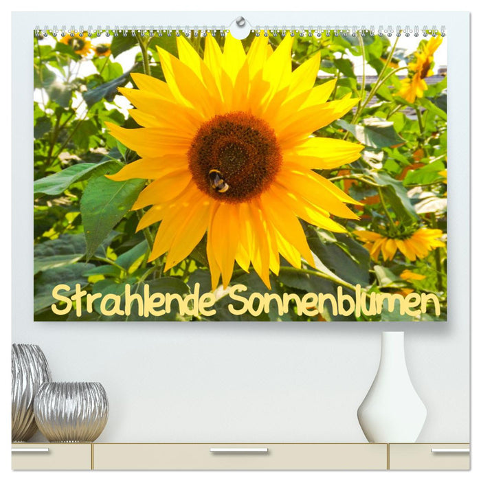 Radiant sunflowers / CH version (CALVENDO Premium wall calendar 2024) 