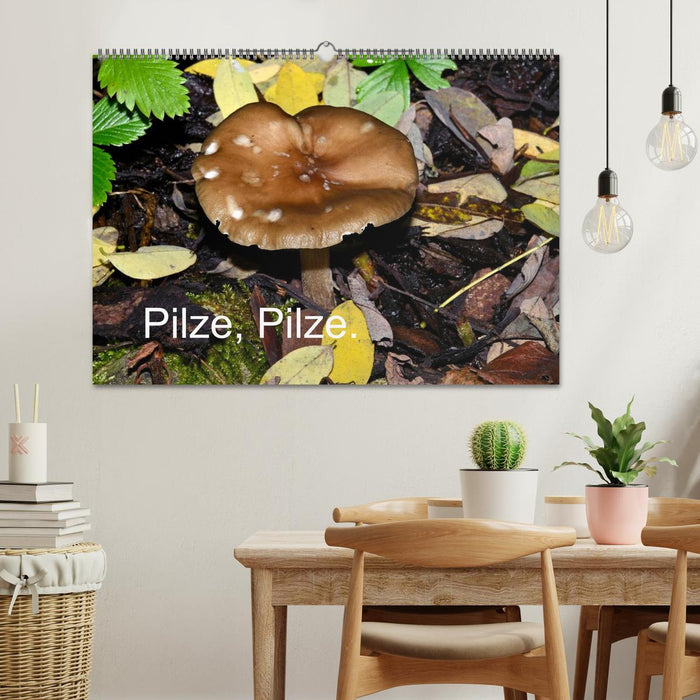 Champignons, champignons (Calendrier mural CALVENDO 2024) 