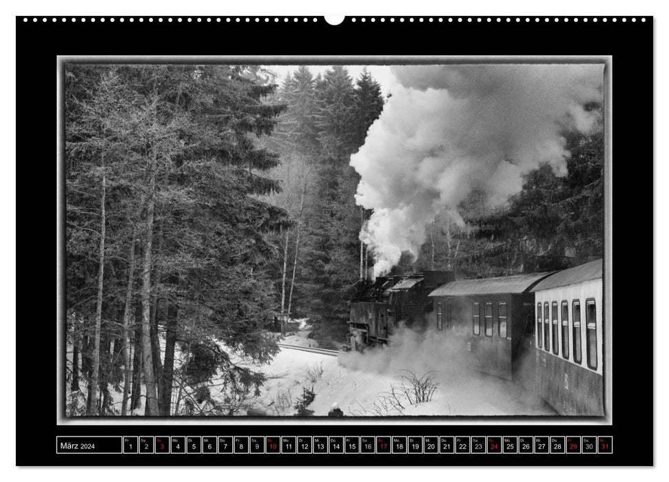 Unter Dampf - Eisenbahnromantik im Harz (CALVENDO Wandkalender 2024)