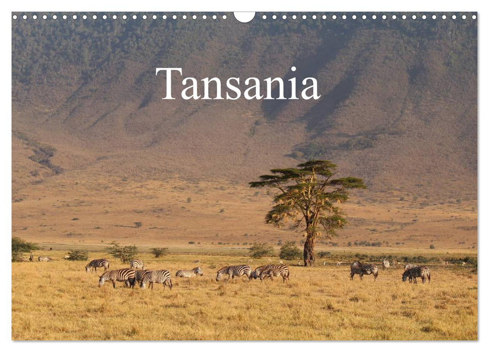 Tanzanie (Calendrier mural CALVENDO 2024) 