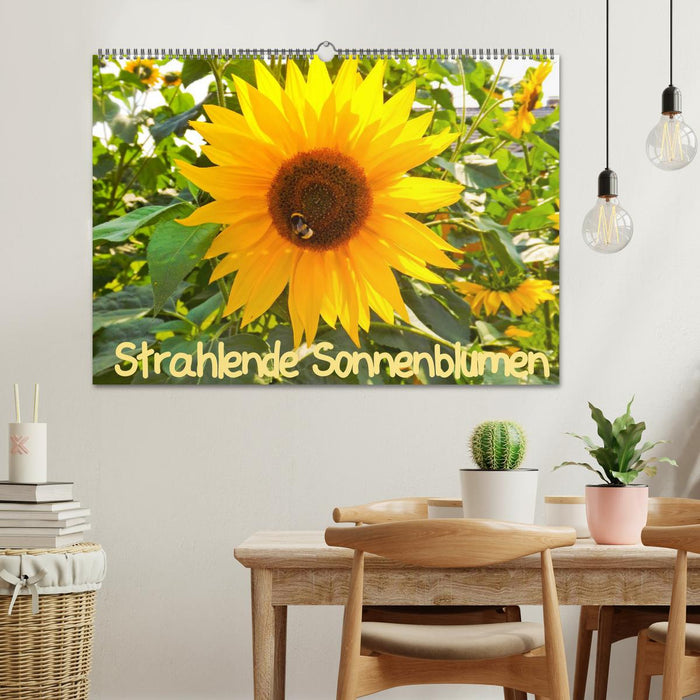 Strahlende Sonnenblumen / CH - Version (CALVENDO Wandkalender 2024)