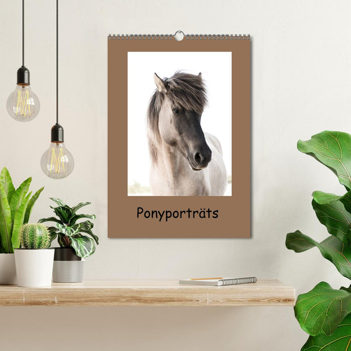Portraits de poneys (Calendrier mural CALVENDO 2024) 