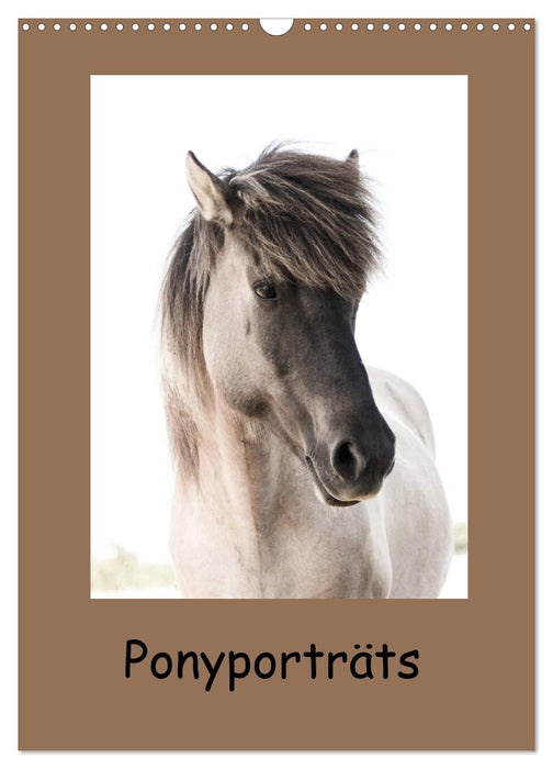 Ponyporträts (CALVENDO Wandkalender 2024)