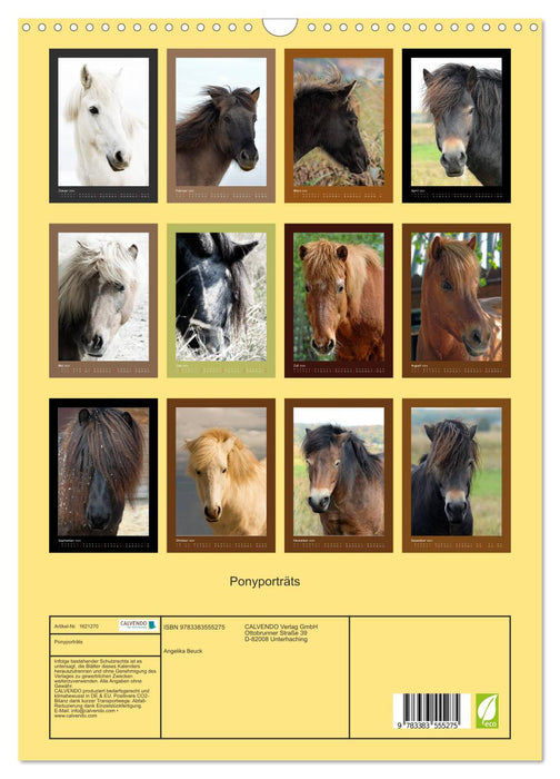Ponyporträts (CALVENDO Wandkalender 2024)
