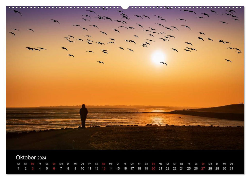 North Sea Dreams (CALVENDO Wall Calendar 2024) 