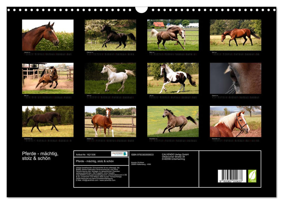 Horses - powerful, proud &amp; beautiful (CALVENDO wall calendar 2024) 