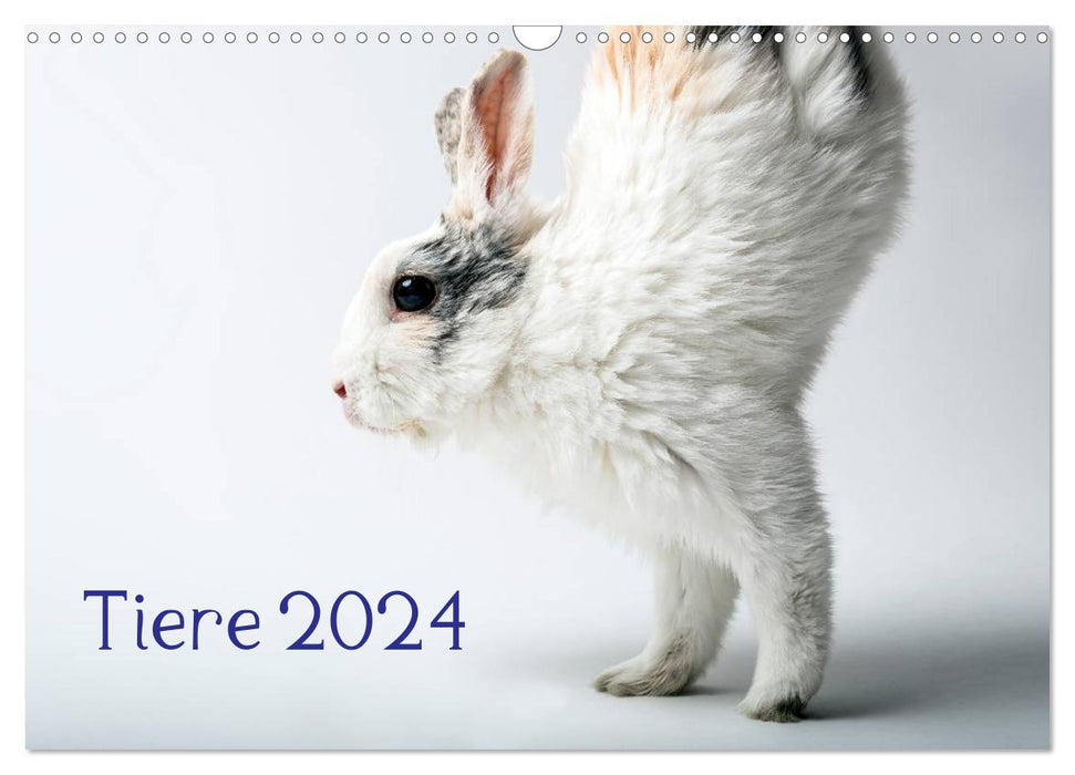 Tiere 2024 (CALVENDO Wandkalender 2024)