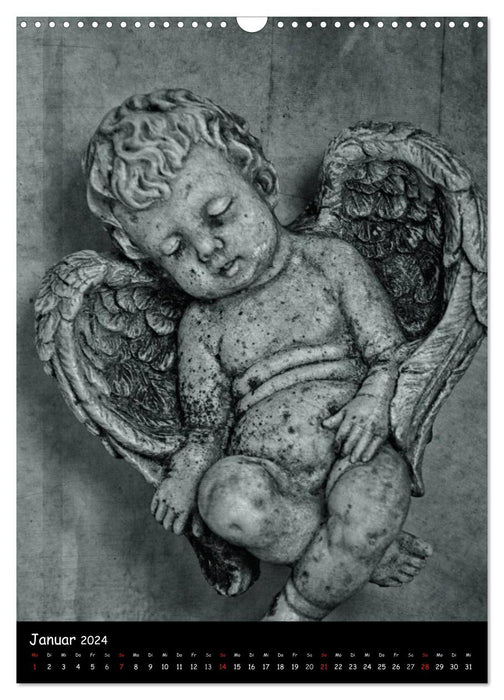 Angel (CALVENDO wall calendar 2024) 
