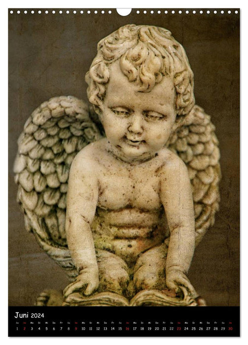 Angel (CALVENDO wall calendar 2024) 