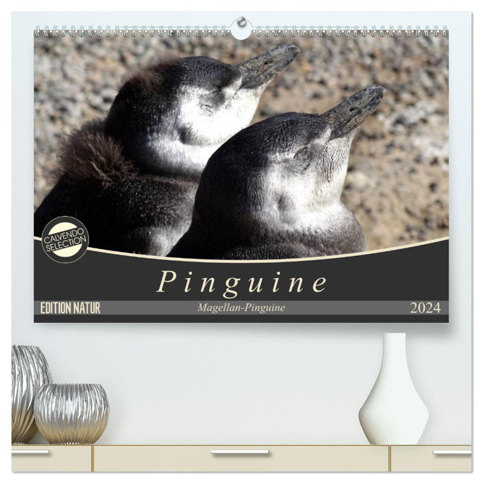 Magellan-Pinguine (CALVENDO Premium Wandkalender 2024)