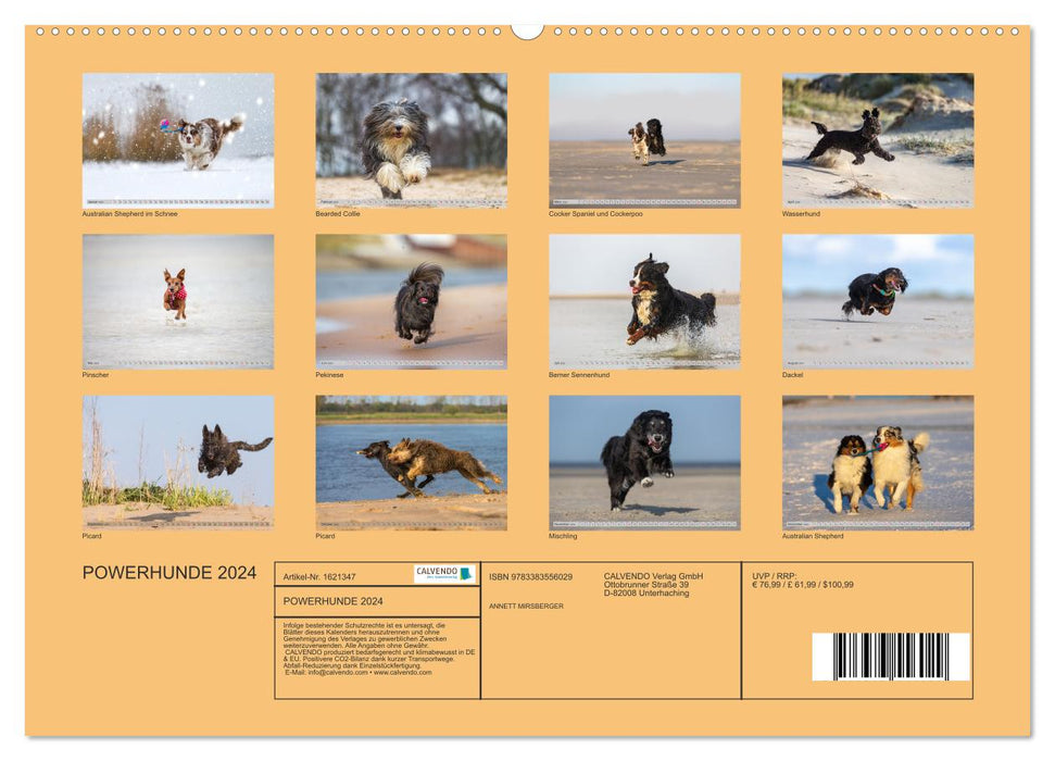POWER DOGS 2024 (CALVENDO Premium Wall Calendar 2024) 