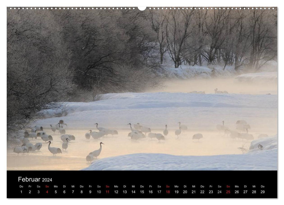 Vögel & Landschaften (CALVENDO Premium Wandkalender 2024)