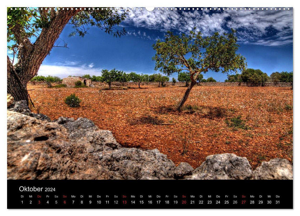 Mallorca 2024 - Insights (CALVENDO Premium Wall Calendar 2024) 