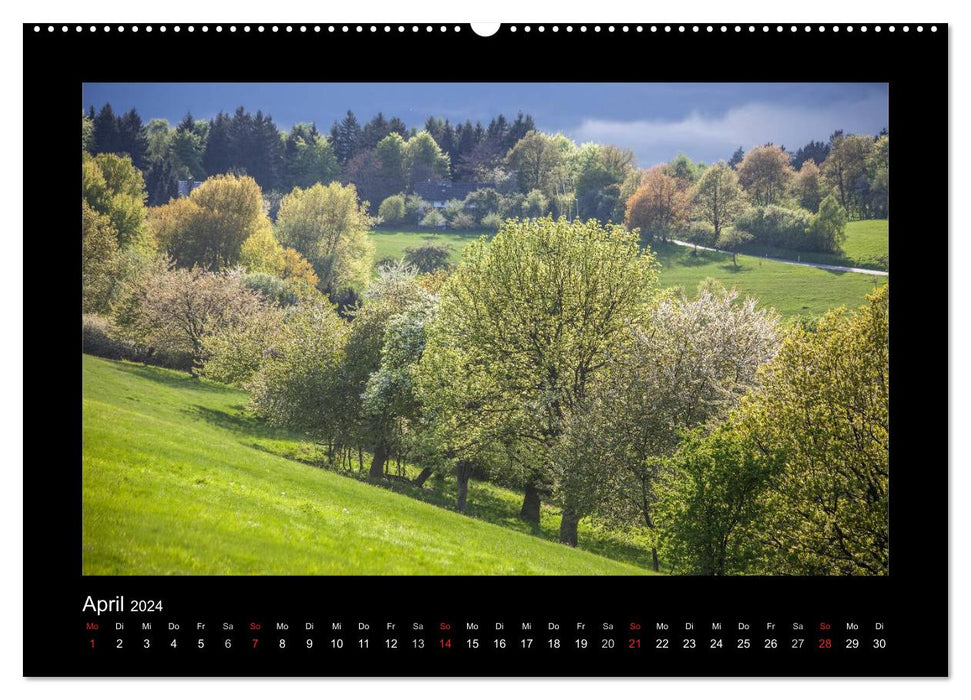 Taunus (CALVENDO Premium Wall Calendar 2024) 