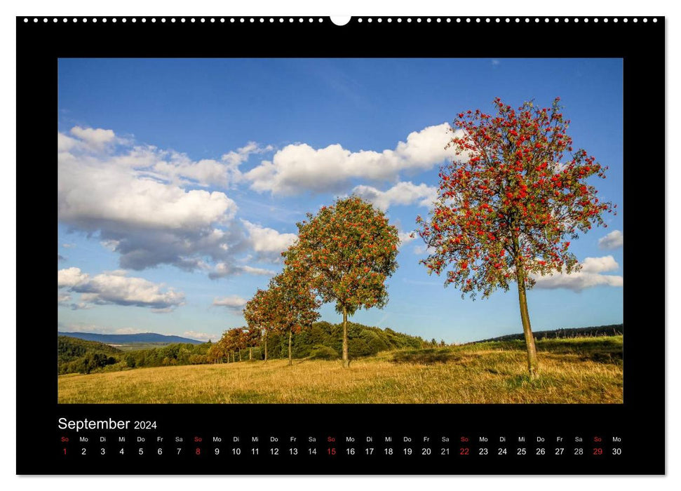 Taunus (CALVENDO Premium Wall Calendar 2024) 