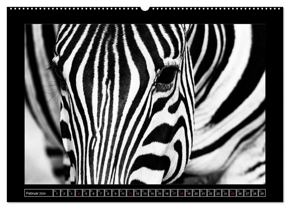 Africa Black - White (CALVENDO Wall Calendar 2024) 