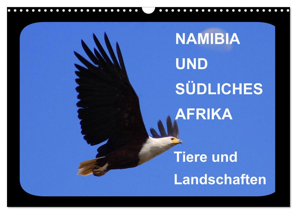 Namibia und Südliches Afrika - Tiere und Landschaften (CALVENDO Wandkalender 2024)