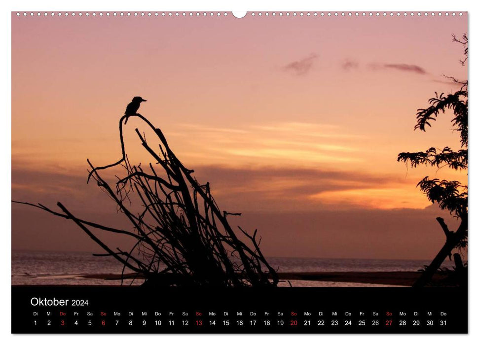 Birds &amp; Landscapes (CALVENDO Wall Calendar 2024) 