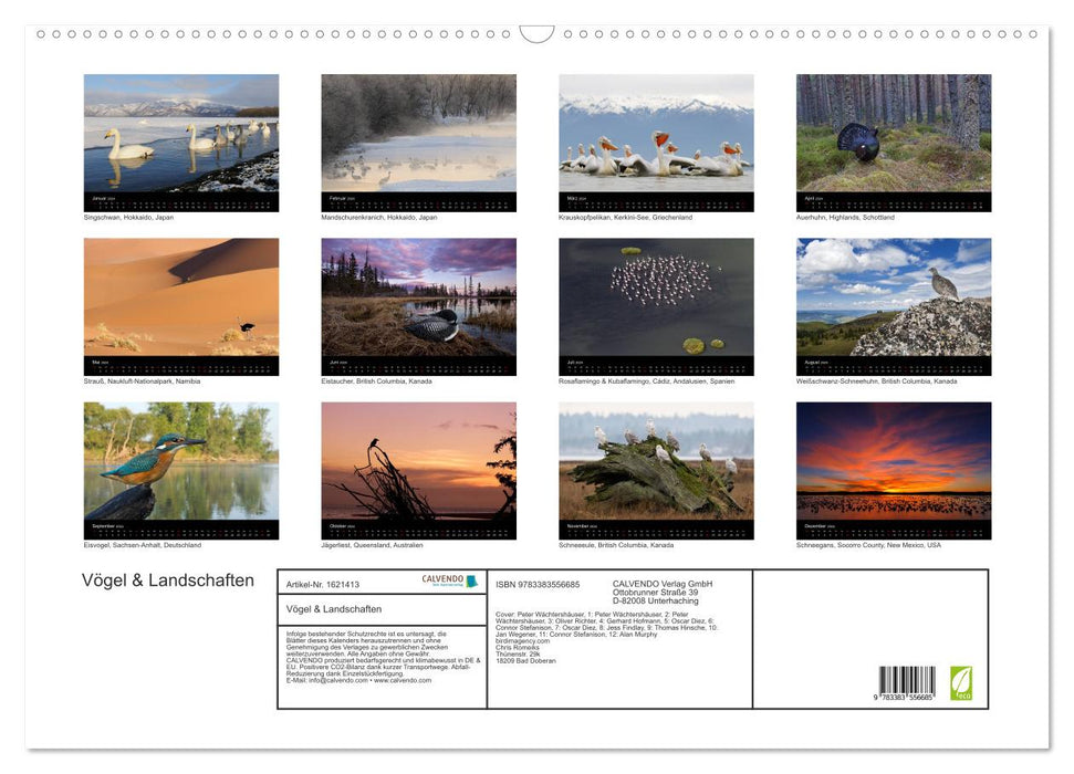 Birds &amp; Landscapes (CALVENDO Wall Calendar 2024) 
