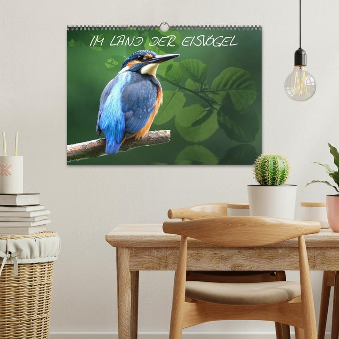 IN THE LAND OF KINGFISHERS (CALVENDO wall calendar 2024) 