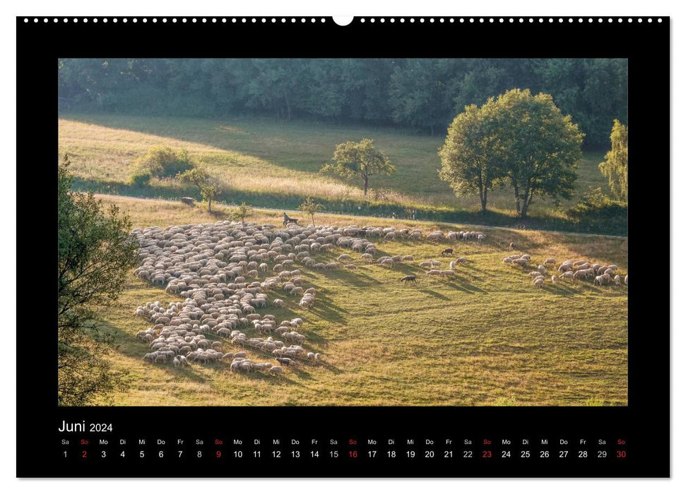 Taunus (CALVENDO wall calendar 2024) 