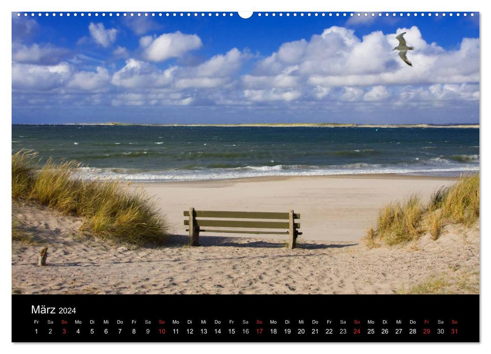 Dänemarks Nordseeküste (CALVENDO Premium Wandkalender 2024)