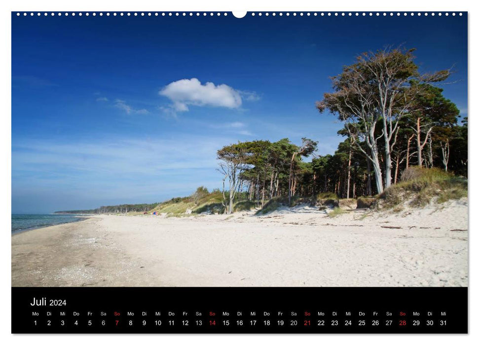 Baltic Sea beaches (CALVENDO wall calendar 2024) 