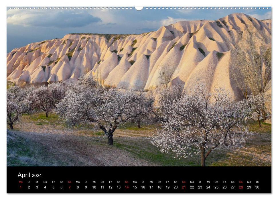Landscape in light (CALVENDO Premium Wall Calendar 2024) 