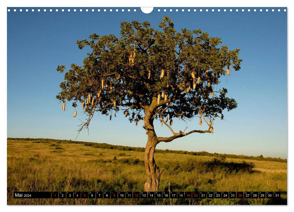 Kenya with a difference (CALVENDO wall calendar 2024) 