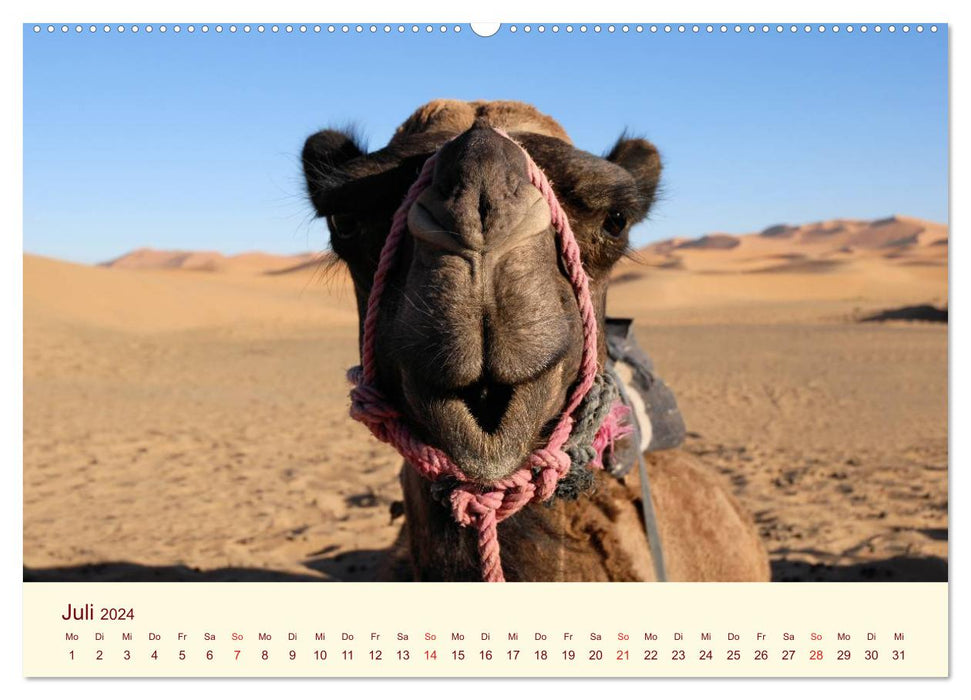 Morocco (CALVENDO Premium Wall Calendar 2024) 