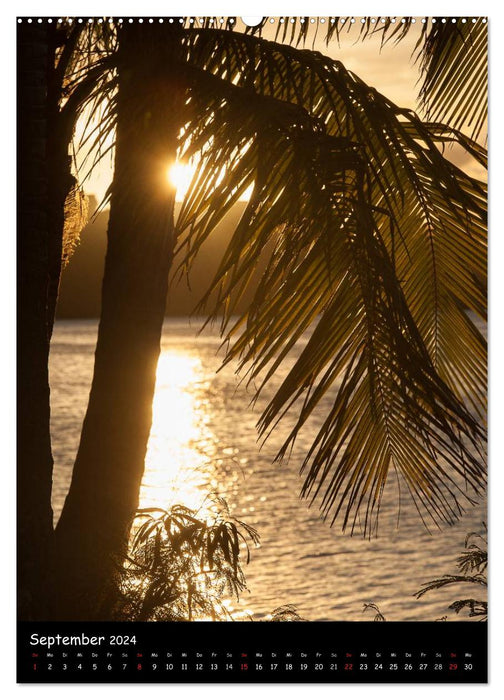 Hawaiian Sunsets (CALVENDO Premium Wandkalender 2024)